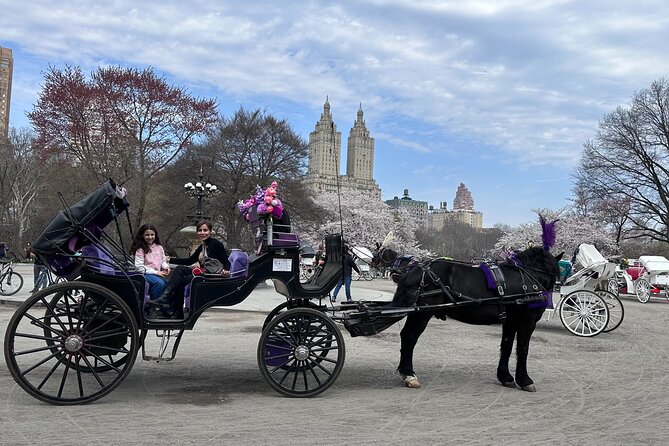 NYC Empire State Horses Carriage Ride in Central Park (45 Mins) - Price and value: $158 per group can be a bargain or a splurge