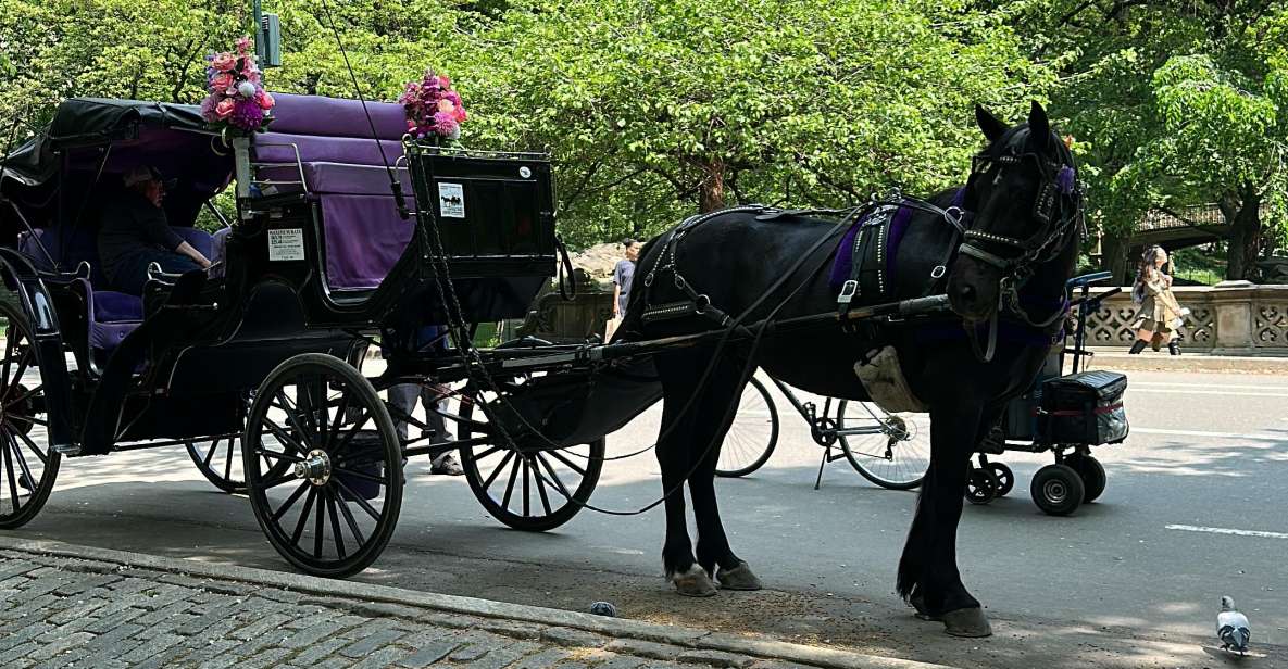 NYC: Empire State Horses Carriage Ride in Central Park - Landmark-by-landmark route: from ice skating ring to Sheep Meadow