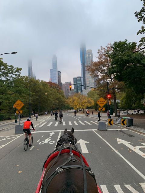 NYC: Empire State Horses Carriage Ride in Central Park - Accessibility and who this ride suits best