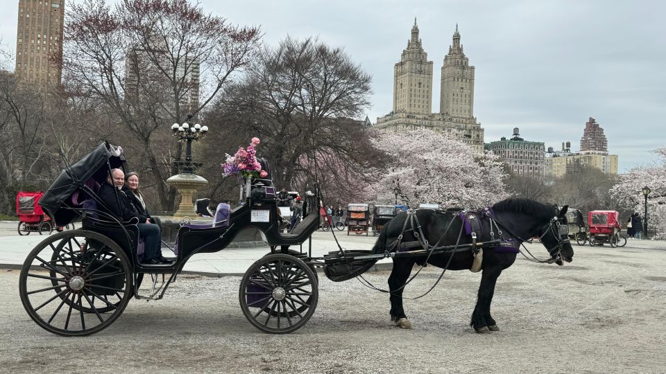 NYC: Empire State Horses Carriage Ride in Central Park - Should you book? My honest take