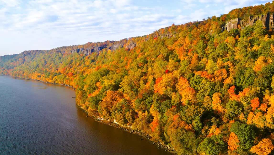 NYC: Fall Foliage Cruise with Live Guide - Onboard drinks and fall beer options: what’s included and what you’ll pay for
