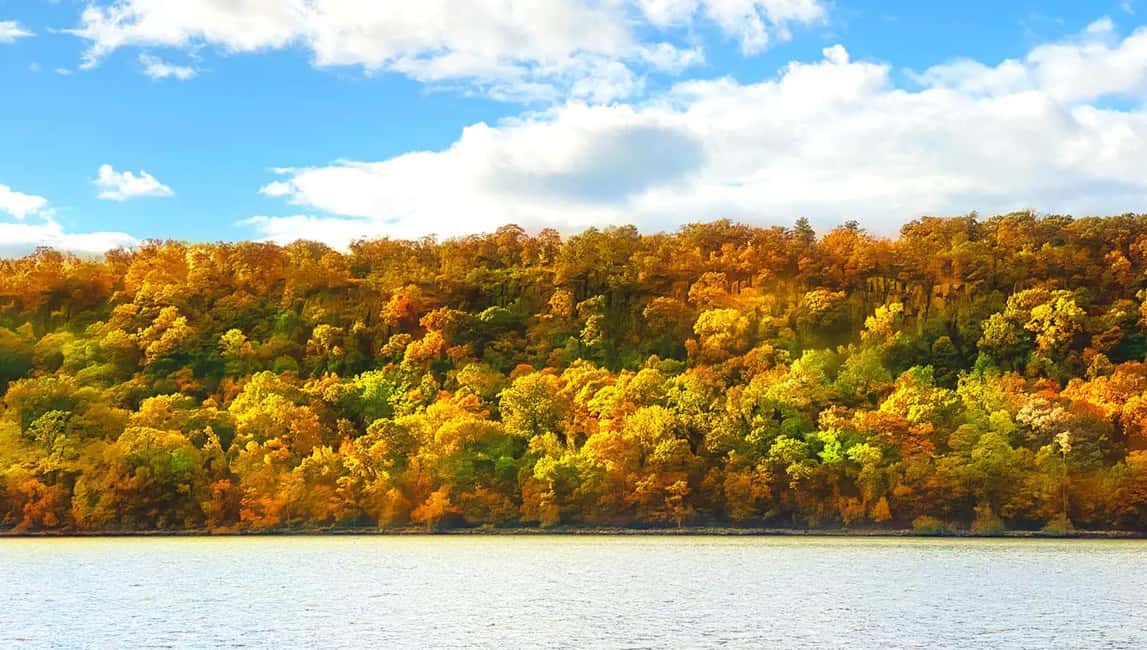 NYC: Fall Foliage Cruise with Live Guide - Comfort on deck: jackets, seasickness, and rain-ready planning