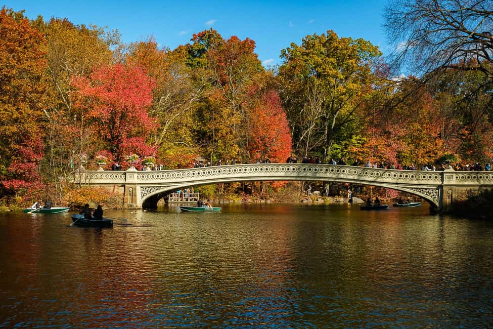 NYC: Guided Central Park Private Pedicab Tour - Getting on board: meeting point and ride feel