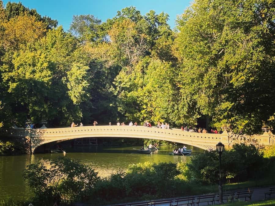 NYC: Guided Pedicab Tour of Central Park - Gapstow Bridge: the photo stop that actually earns the walking
