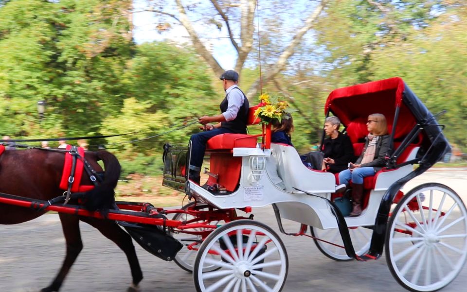 NYC: Guided Standard Central Park Carriage Ride (4 Adults) - Key highlights you’ll feel right away