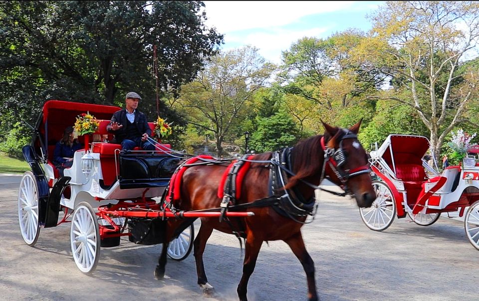 NYC: Guided Standard Central Park Carriage Ride (4 Adults) - Should you book this Central Park carriage ride?