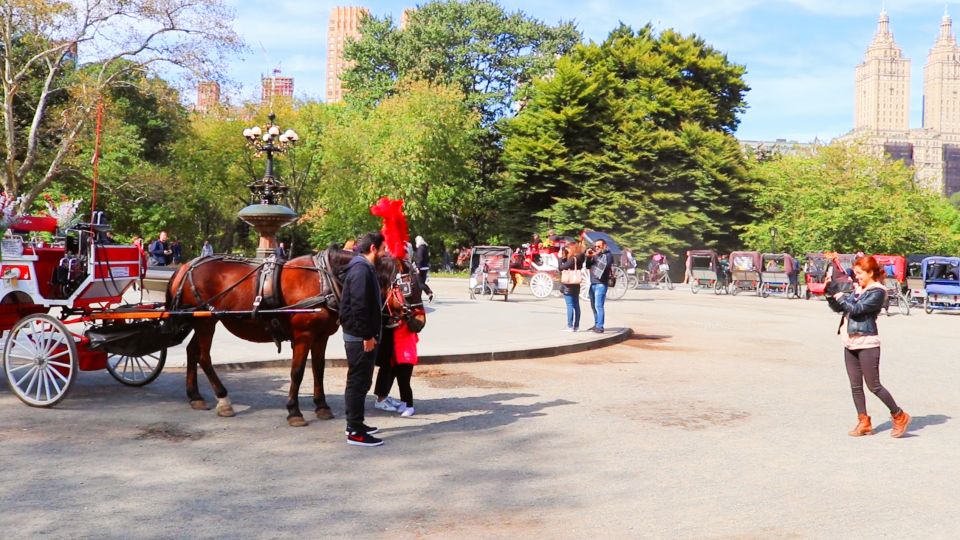 NYC: Guided Standard Central Park Carriage Ride (4 Adults) - Entering Central Park by carriage, at a human pace