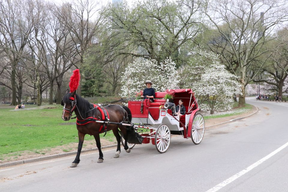 NYC: Guided Standard Central Park Carriage Ride (4 Adults) - The 40-minute route: the landmarks you’ll actually recognize