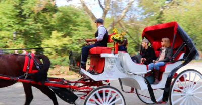 NYC: Guided Standard Central Park Carriage Ride (4 Adults) - Meeting by José Julián Martí Statue and settling in