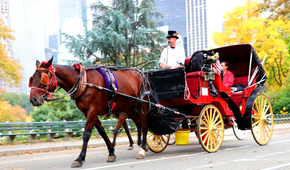 NYC: Guided Standard Central Park Carriage Ride (4 Adults) - Cherry Hill / Friends Fountain: your one guided break