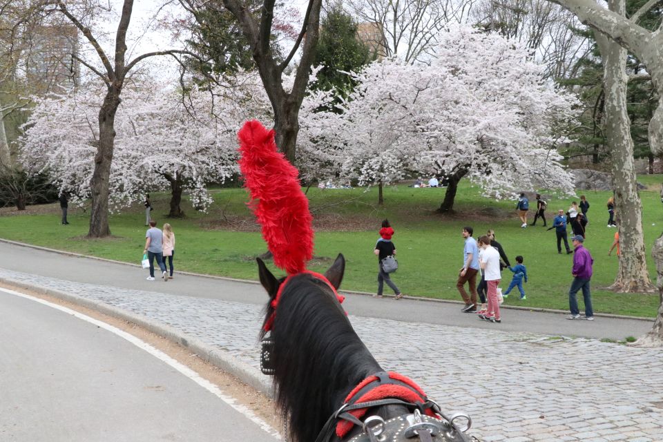 NYC: Guided Standard Central Park Carriage Ride (4 Adults) - Guide narration that makes the park click