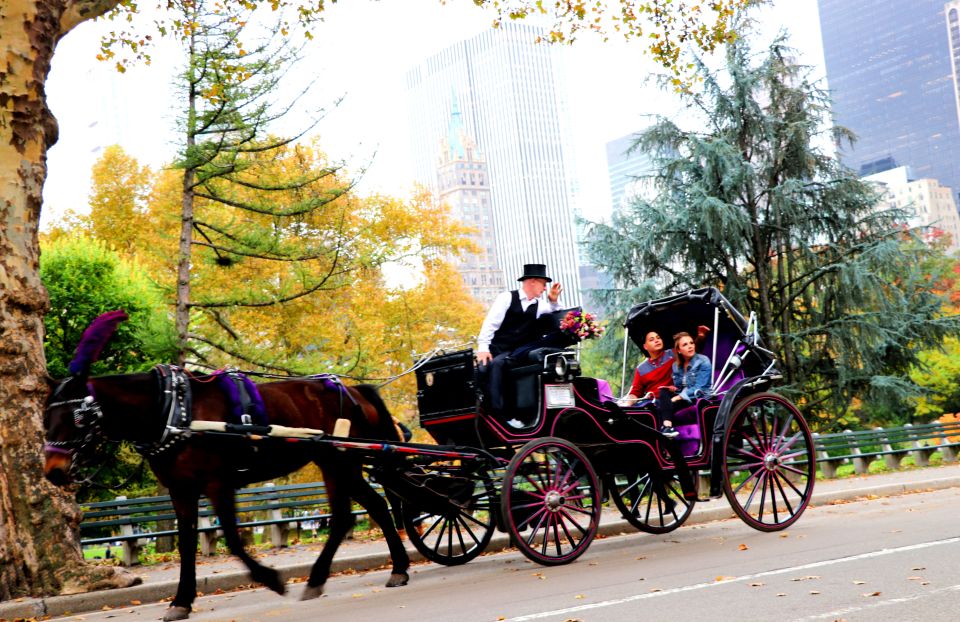 NYC: Guided Standard Central Park Carriage Ride (4 Adults) - Price and value: is $225 per carriage a good deal?