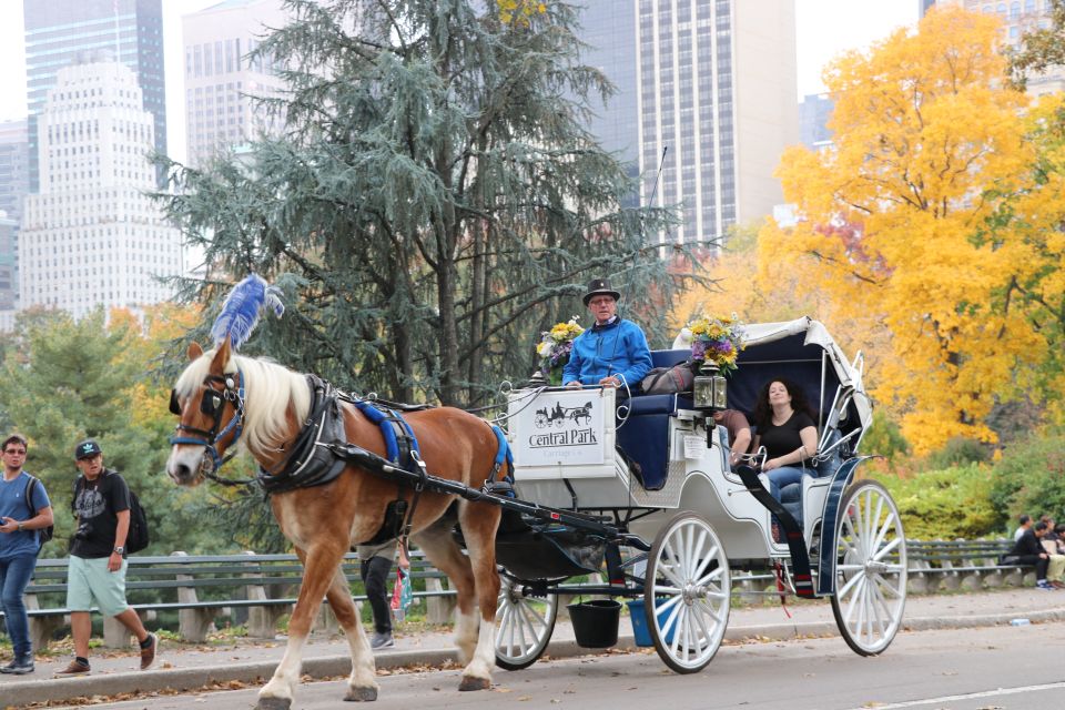 NYC: Guided Standard Central Park Carriage Ride (4 Adults) - Comfort and timing: what to wear and what to expect