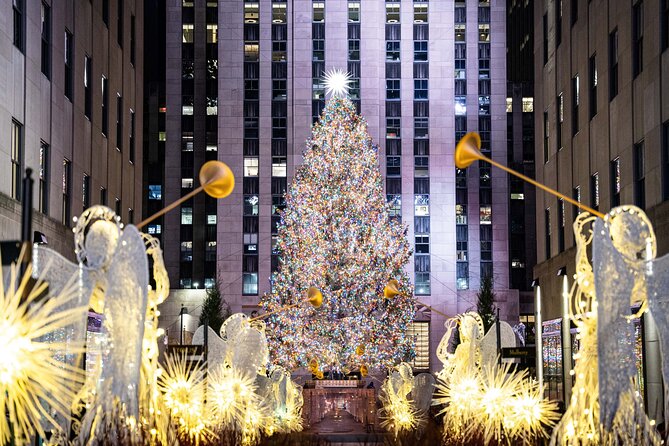 NYC Holiday Lights and Dyker Heights Luxury Bus Tour - Key Things I’d Notice Before You Go