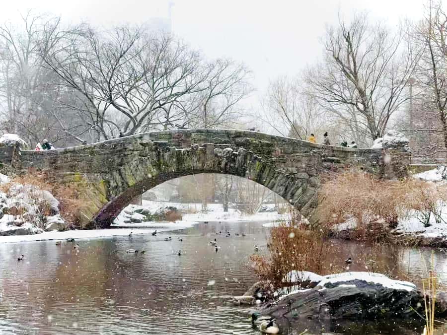 NYC: Home Alone 2 and Elf Tour in Central Park - Wollman Rink and the Wet Bandits chase vibe