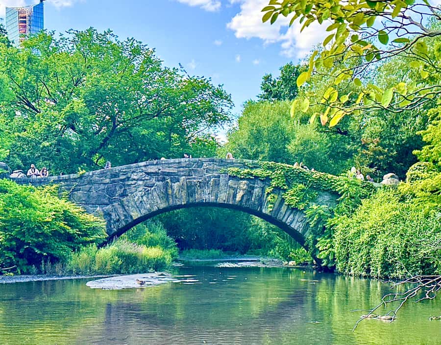 NYC: Home Alone 2 and Elf Tour in Central Park - Spotting the pigeon lady bridge moment in Central Park