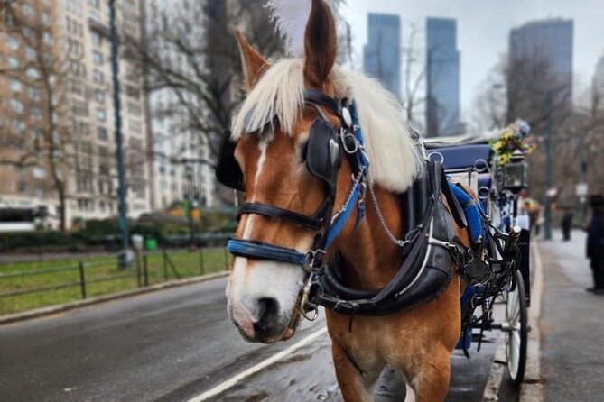 NYC Horse and Carriage Central Park Tours - Key things I’d watch for before you book