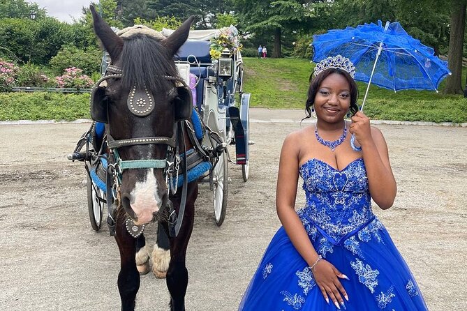 NYC Horse and Carriage Central Park Tours - Why this Central Park carriage ride beats the walking shuffle