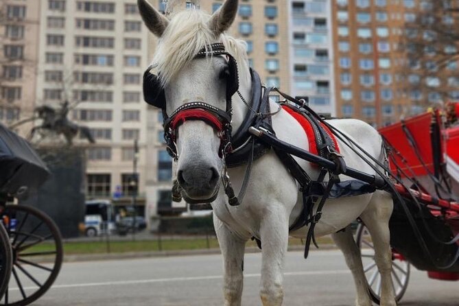 NYC Horse and Carriage Central Park Tours - The extras: carousel, ice skating, games, dogsled lore, and boating stops