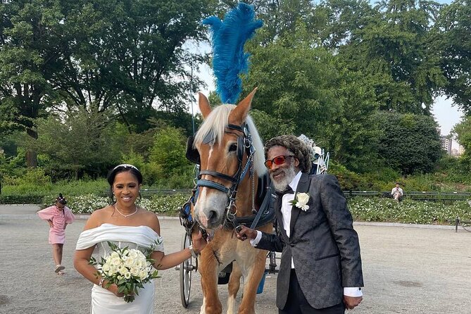 NYC Horse and Carriage Central Park Tours - Photo and timing tips that keep the ride fun
