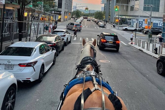 NYC Horse and Carriage Central Park Tours - Who should book this carriage tour in Central Park