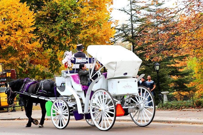NYC Horse Carriage Ride in Central Park (50 Min. Up to 4 Adults) - Horses, Comfort, and the Little Inclusions That Matter