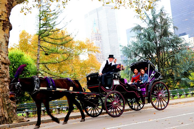 NYC Horse Carriage Ride in Central Park (50 Min. Up to 4 Adults) - Best Timing and What to Wear (Without Overthinking It)