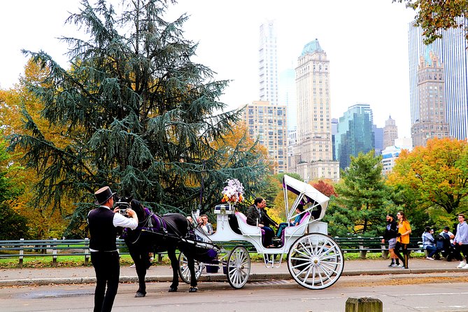 NYC Horse Carriage Ride in Central Park (50 Min. Up to 4 Adults) - Who This Tour Is For (and Who Might Want a Different Plan)