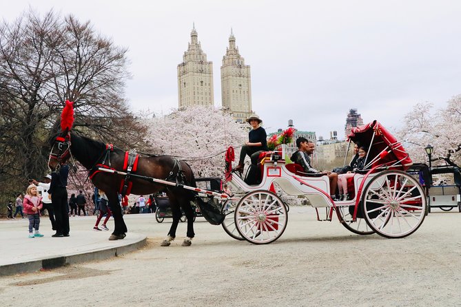 NYC Horse Carriage Ride in Central Park (50 Min. Up to 4 Adults) - Price Per Carriage: How $230 Can Actually Make Sense