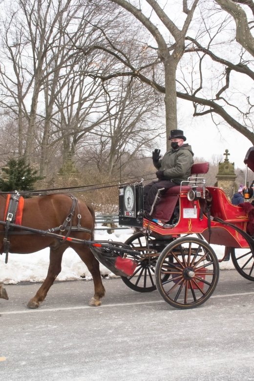 NYC Horse Carriage Ride in Central Park (65 min) - Key points worth knowing