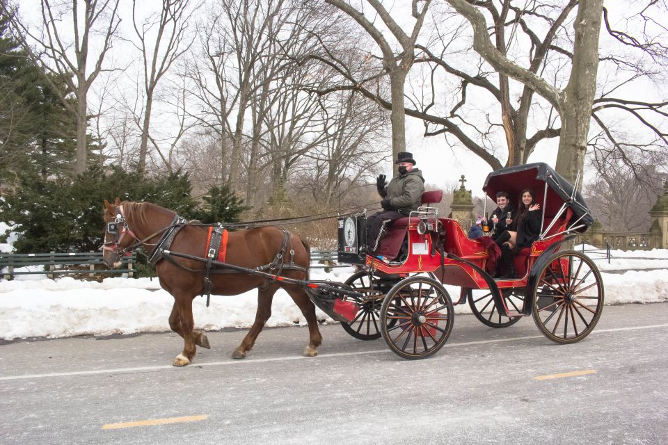 NYC Horse Carriage Ride in Central Park (65 min) - A 65-minute Central Park ride that actually has a plan