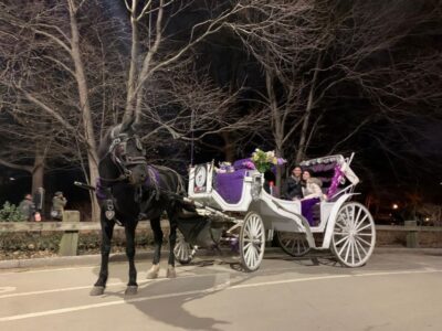 NYC Horse Carriage Ride in Central Park (65 min) - Where to meet and what to bring (keep it simple)