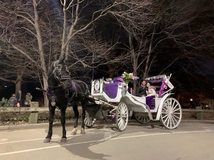 NYC Horse Carriage Ride in Central Park (65 min) - Where to meet and what to bring (keep it simple)