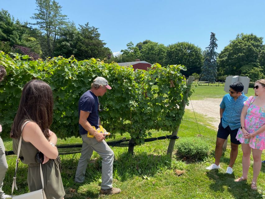 NYC: Long Island Sommelier-Guided Wine Tasting Tour - Midtown to North Fork: a smoother start than most wine days