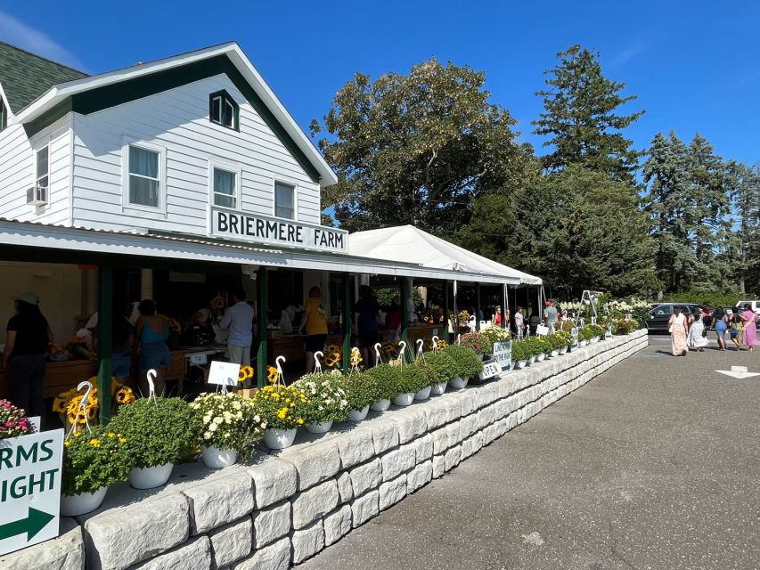 NYC: Long Island Sommelier-Guided Wine Tasting Tour - Vineyard walking and winemakers: the access you actually pay for