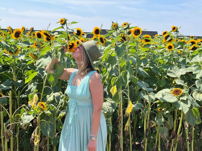 NYC: Long Island Sommelier-Guided Wine Tasting Tour - Who this tour fits best (and who might want something else)