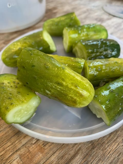 NYC: Lower East Side Walking and Food Tasting Tour - Logistics and Comfort Notes That Matter on Foot