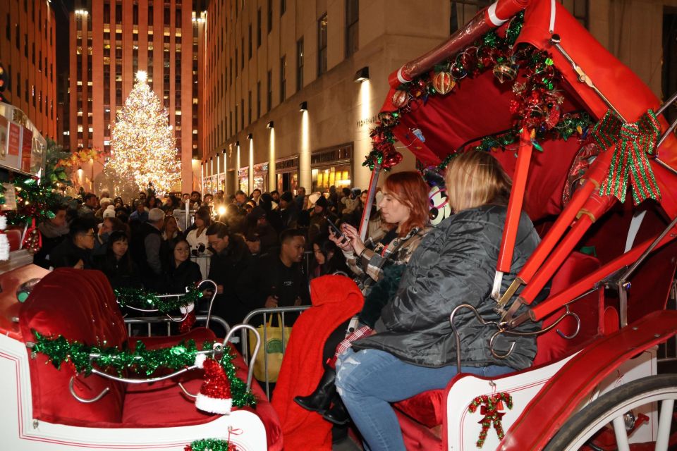 NYC: Magical Christmas Lights Carriage Ride - Who Should Book This (and Who Might Want Another Option)