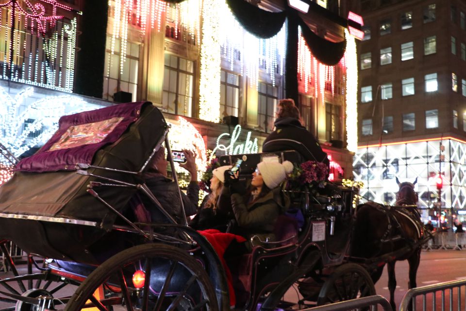 NYC: Magical Christmas Lights Carriage Ride - The Guide and the Horses: Why It Feels Personal