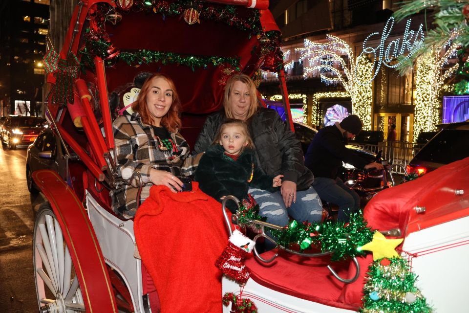 NYC: Magical Christmas Lights Carriage Ride - Weather Reality: Rain, Warmth, and a Winter-Proof Plan