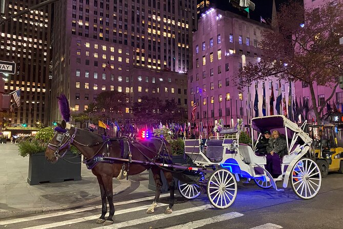 NYC : Magical Christmas Lights Private Horse Carriage Ride - Key things to know before you go