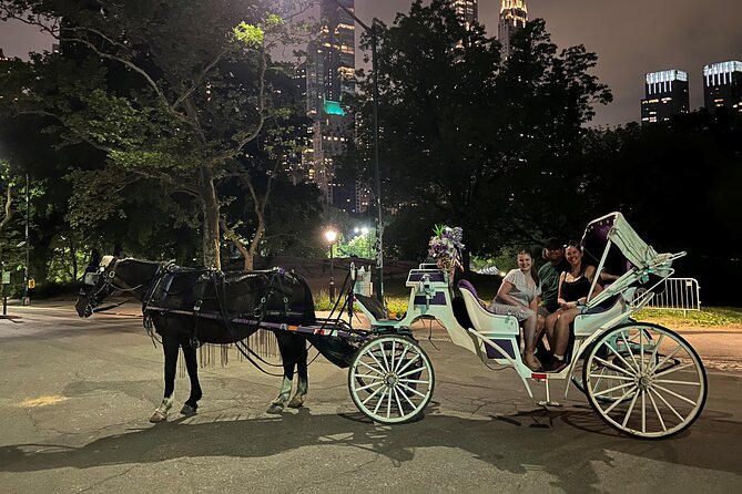 NYC : Magical Christmas Lights Private Horse Carriage Ride - Staying comfortable: blankets, cold wind, and camera timing
