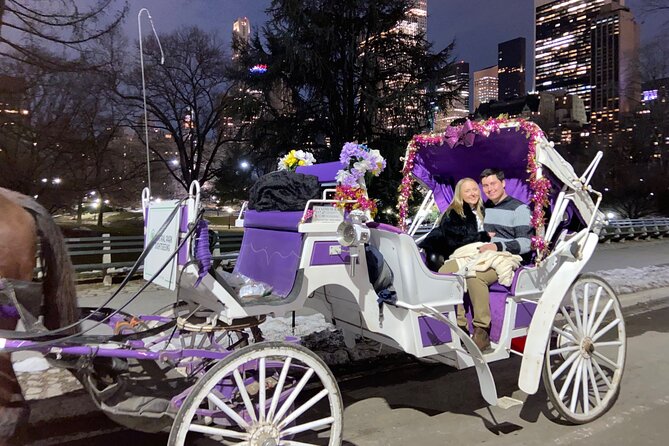 NYC : Magical Christmas Lights Private Horse Carriage Ride - Should you book this NYC Christmas lights carriage ride?