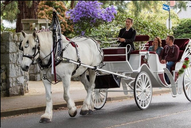 NYC : Magical Christmas Lights Private Horse Carriage Ride - FAQ