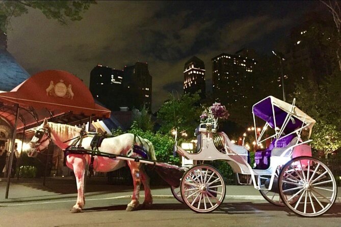 NYC : Magical Christmas Lights Private Horse Carriage Ride - Drivers and horses: why this ride feels personal