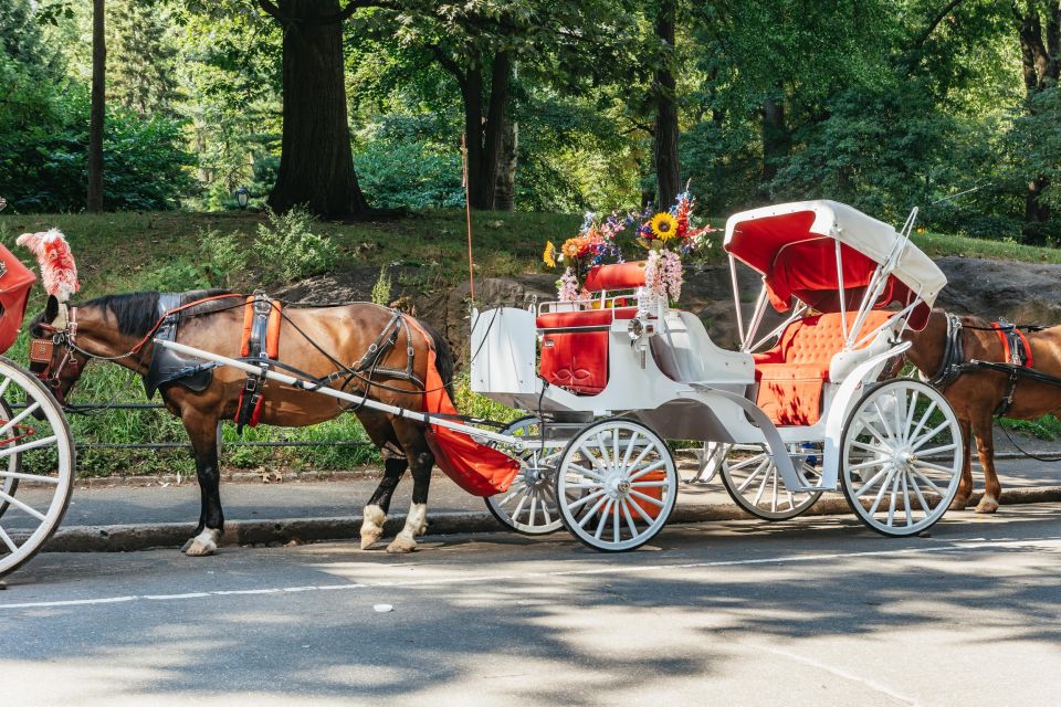 NYC MAGICAL NIGHT TIME RIDE Central Park/Rockefeller Center - Photo and comfort tips that actually help