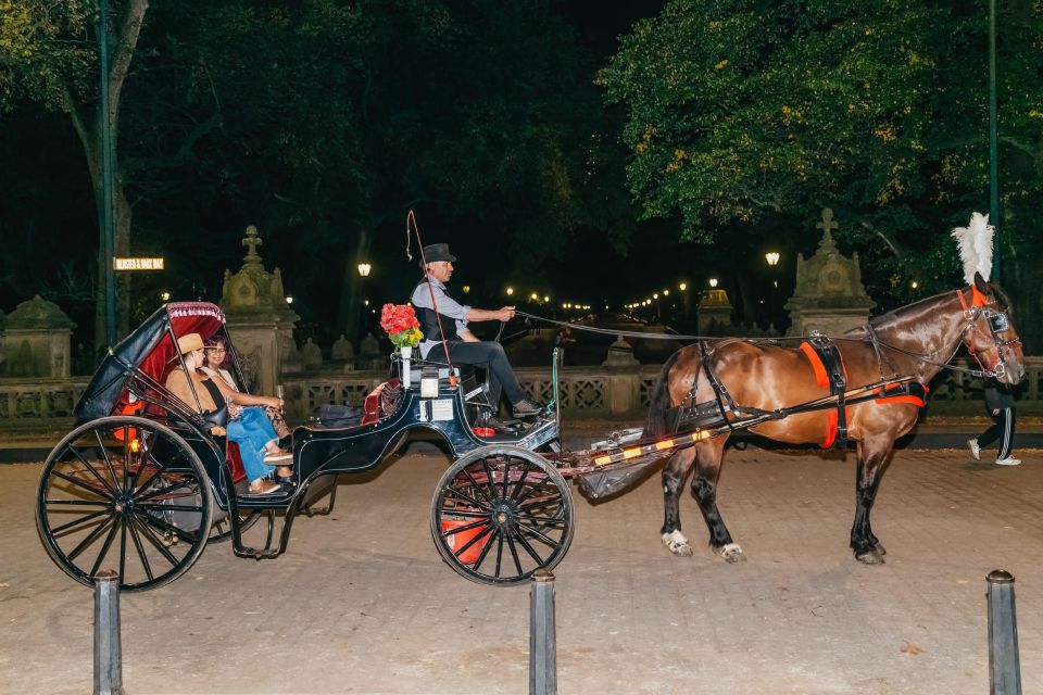 NYC MOONLIGHT HORSE CARRIAGE RIDE through Central Park - Key things to know before you ride