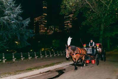 NYC MOONLIGHT HORSE CARRIAGE RIDE through Central Park - Price and value: what $190 per group really buys