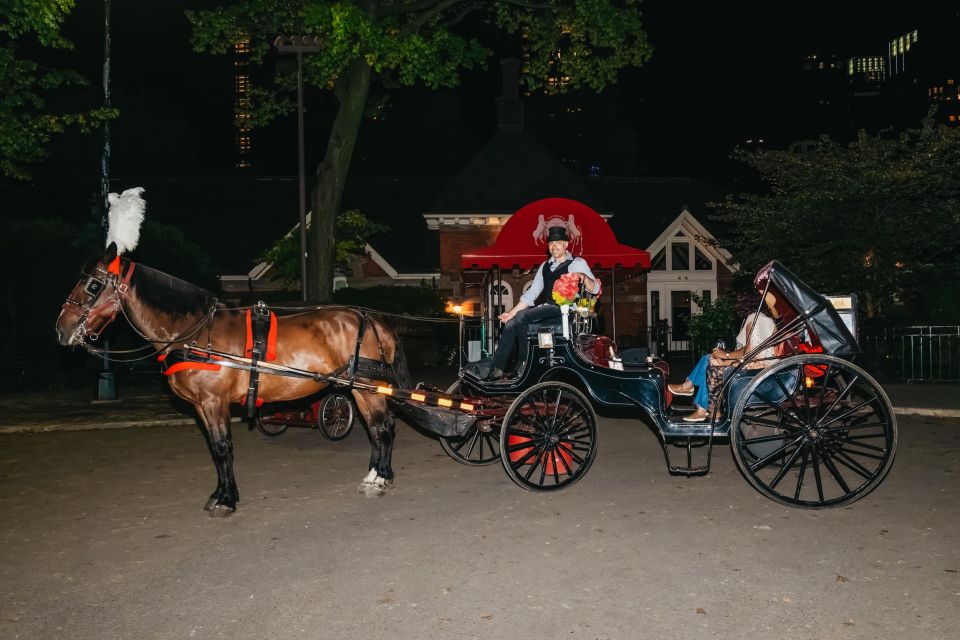 NYC MOONLIGHT HORSE CARRIAGE RIDE through Central Park - What the carriage experience feels like once you’re seated