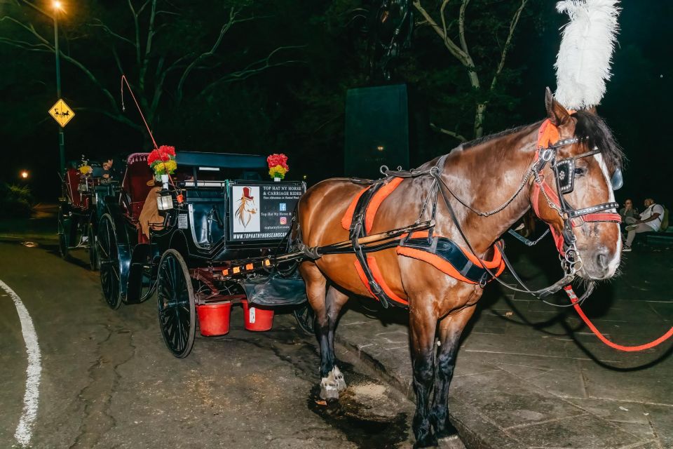 NYC MOONLIGHT HORSE CARRIAGE RIDE through Central Park - Your Southeast Central Park route: from Cop Cot to the rink